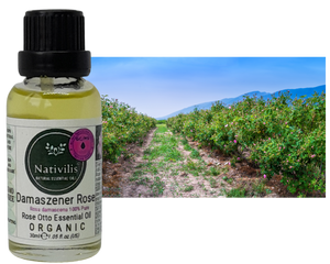 Nativilis Organic Rose Otto Essential Oil (Rosa damascena) - 100% Pure and Natural - 30ml - (GC/MS Tested) -