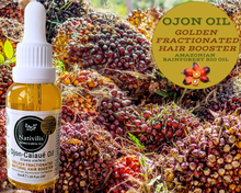 Load image into Gallery viewer, Nativilis Ojon Caiaue GOLDEN FRACTIONATED Oil - (Elaeis oleifera) NATURAL HAIR SKIN BOOSTER Rainforest Virgin Oil - revitalizes damaged follicles helps effective hair growth volumize and get tame frizz – Copaiba
