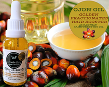 Load image into Gallery viewer, Nativilis Ojon Caiaue GOLDEN FRACTIONATED Oil - (Elaeis oleifera) NATURAL HAIR SKIN BOOSTER Rainforest Virgin Oil - revitalizes damaged follicles helps effective hair growth volumize and get tame frizz – Copaiba
