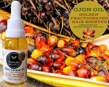 Load image into Gallery viewer, Nativilis Ojon Caiaue GOLDEN FRACTIONATED Oil - (Elaeis oleifera) NATURAL HAIR SKIN BOOSTER Rainforest Virgin Oil - revitalizes damaged follicles helps effective hair growth volumize and get tame frizz – Copaiba
