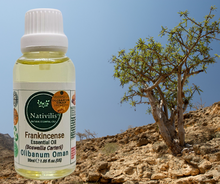 Load image into Gallery viewer, Nativilis Frankincense Carterii Olibanum Oil Oman (Boswellia Carterii ) - natural anti-acne anti-wrinkle improve oral hygiene prevent gum disease antibacterial properties - Copaiba properties 30ml Media 1 of 36
