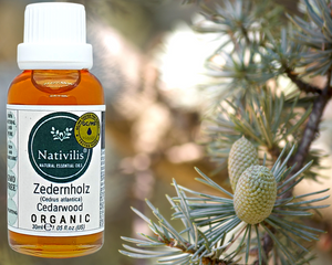 Nativilis Organic Cedarwood Essential Oil (Cedrus atlantica) - 100% Natural - 30ml - (GC/MS Tested)