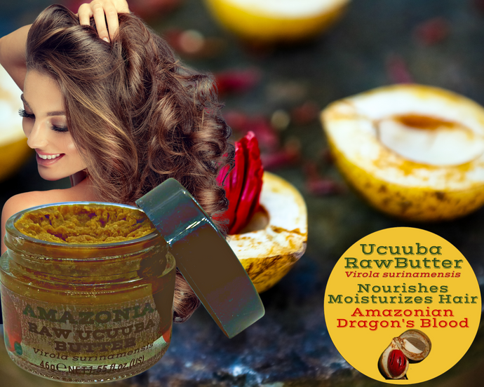 Nativilis Amazonian Raw Ucuuba Butter (Virola surinamensis) - Nourishes Moisturizes Hair Restores Elasticity - Repairs Damaged Scalp keeping Healthy – Amazonian Dragon's Blood – Copaiba