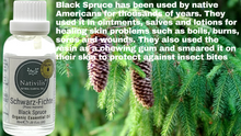 Load image into Gallery viewer, Nativilis Organic Black Spruce Essential Oil (Picea mariana) - 100% Natural - 30ml - (GC/MS Tested)
