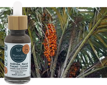 Load image into Gallery viewer, Nativilis URSOLIC ACID enriched with 04 Amazonian Rainforest Bio Oil - ANDIROBA BACURI PRACAXI TUCUMA - Relief skin injuries aesthetic processes peelings laser hair removals Soothing effect Copaiba
