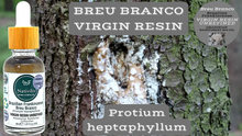 Load image into Gallery viewer, Nativilis Brazilian Frankincense - BREU BRANCO VIRGIN RESIN UNREFINED - Protium heptaphyllum - Amazonian natural resin oil properties anti-inflammatory antiseptic analgesic soothing exfoliant for dry and oily skin - Copaiba
