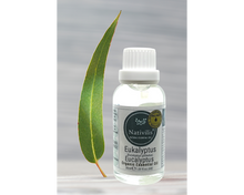 Load image into Gallery viewer, Nativilis Organic Eucalyptus Essential Oil (Eucalyptus globulus) - 100% Natural - 30ml - (GC/MS Tested)
