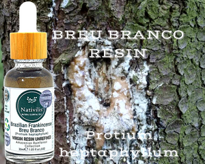 Nativilis Brazilian Frankincense - BREU BRANCO VIRGIN RESIN UNREFINED - Protium heptaphyllum - Amazonian natural resin oil properties anti-inflammatory antiseptic analgesic soothing exfoliant for dry and oily skin - Copaiba